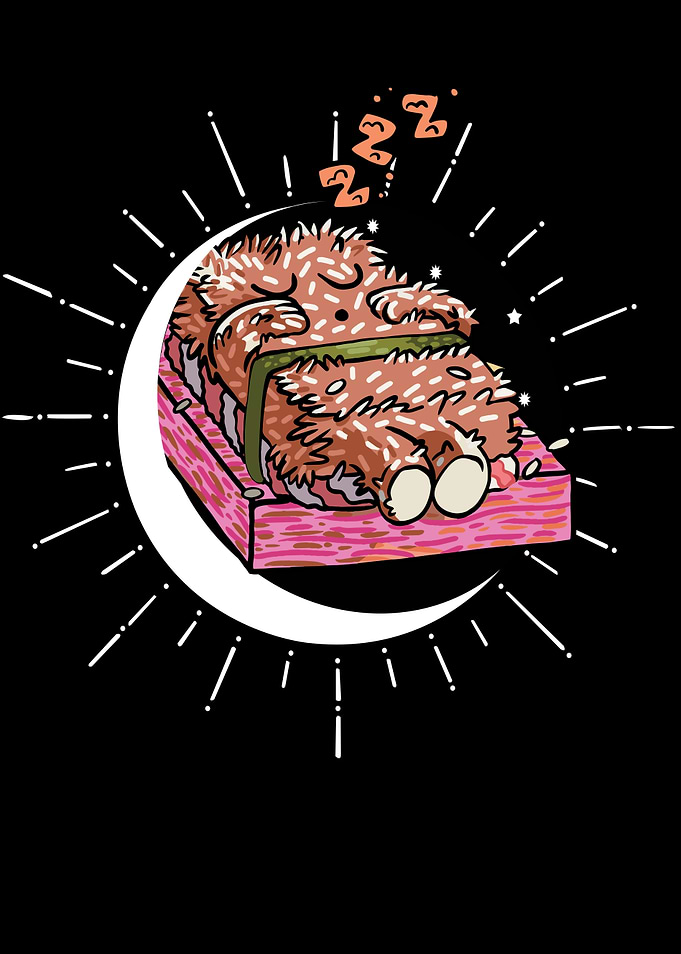 Sushi Dream