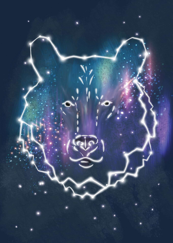 Bear constellation