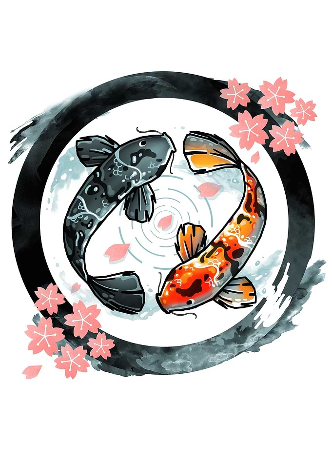 Sakura Koi