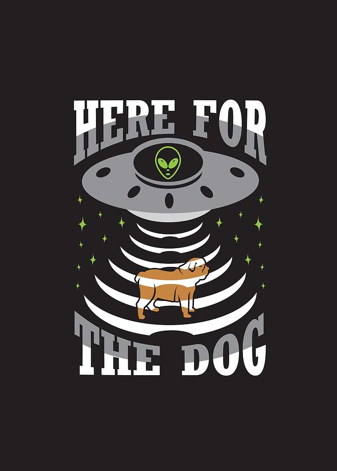 Here Dog Ufo