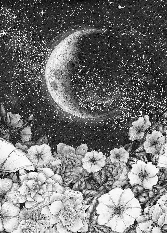 Moonlight in the Garden