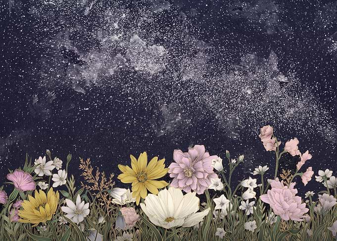 Galaxy in Bloom Colour