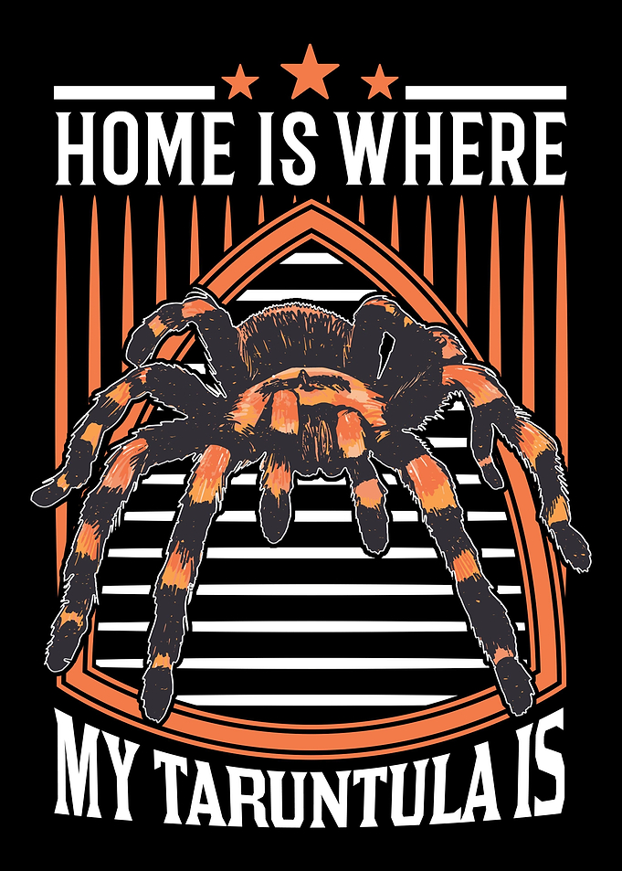 Home Is Where My Tarantula