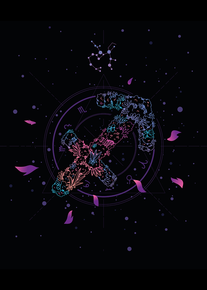 Sagittarius ZODIAC SIGN