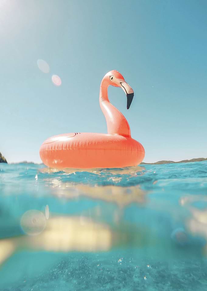 Flamingo Beach