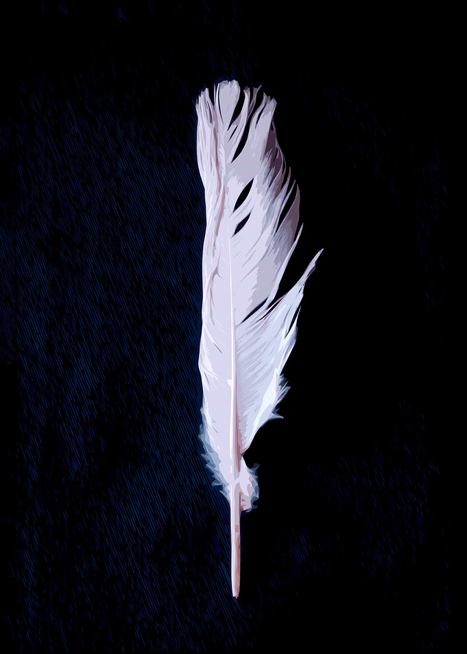 The soft alone feather