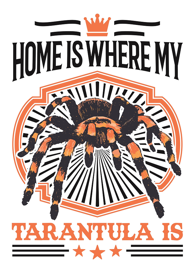 Home Is Where My Tarantula