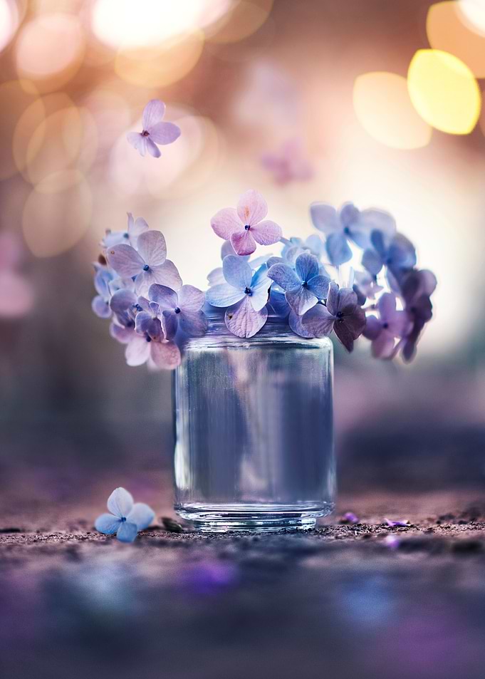 Summer Melodies