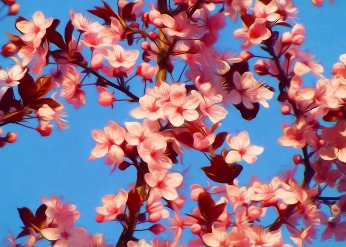 Spring