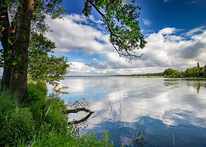Summer, reflection on lake