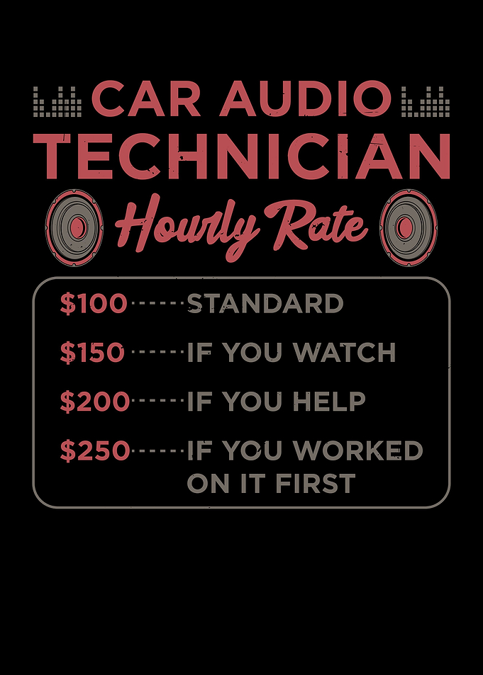 Car Audio Technician