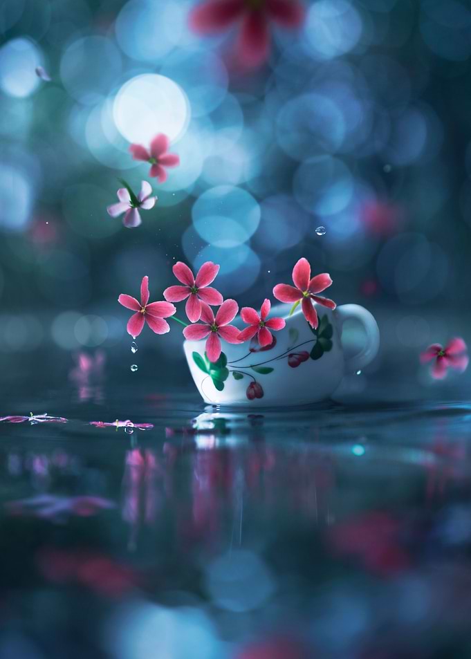 Floating dreams