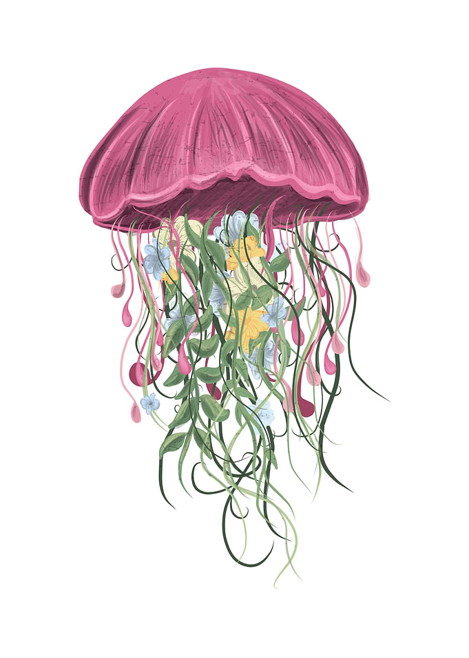 Jellyfish and Flowers