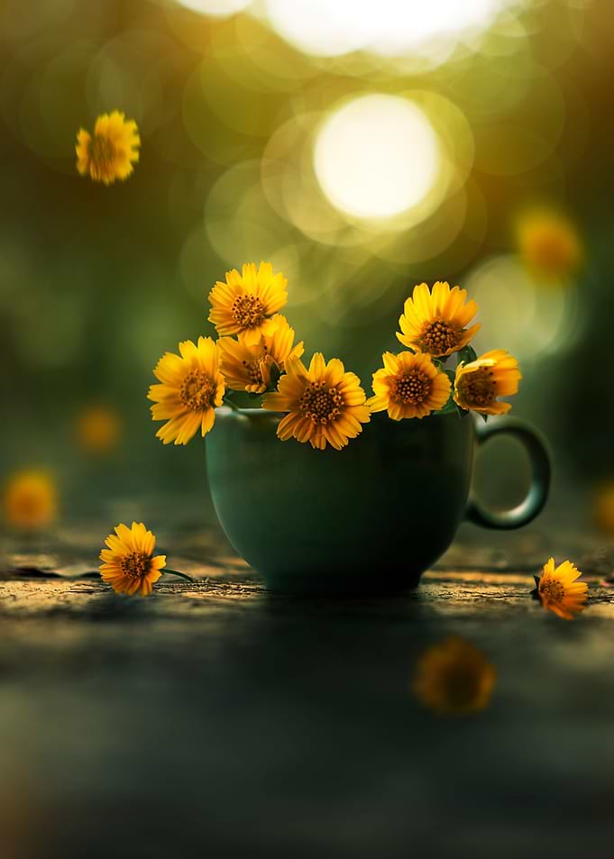 Cup of gold