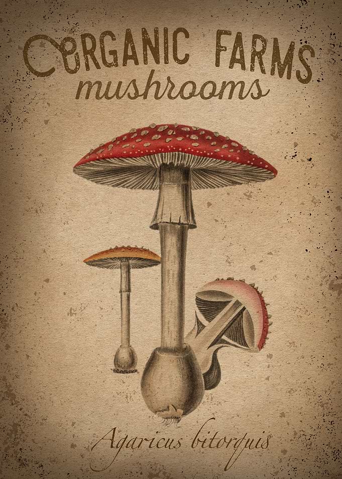 Mushroom Farm