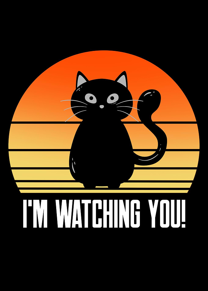 Funny Black Cat Quotes