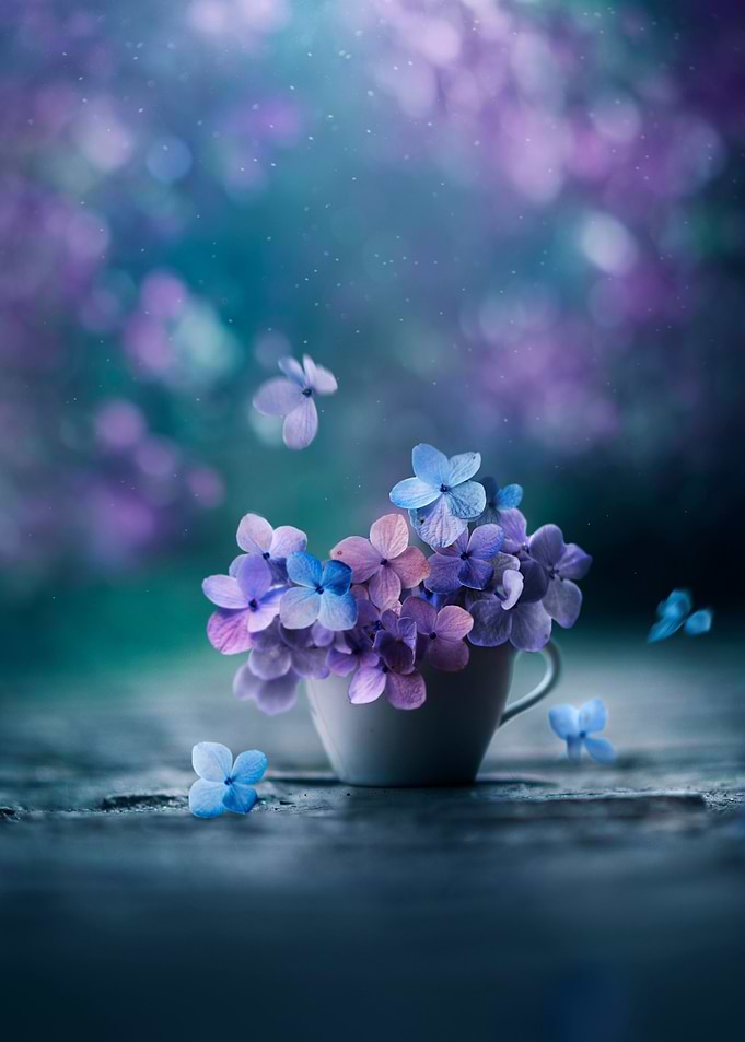 Poem for Spring