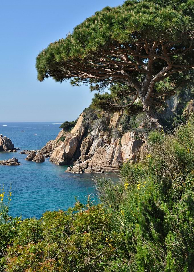 Typical Costa Brava 02