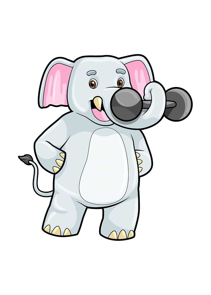 Elephant Fitness Dumbbell