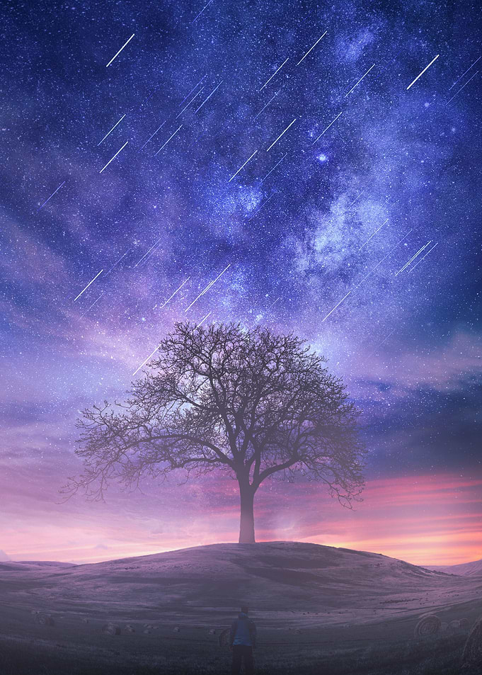 star tree