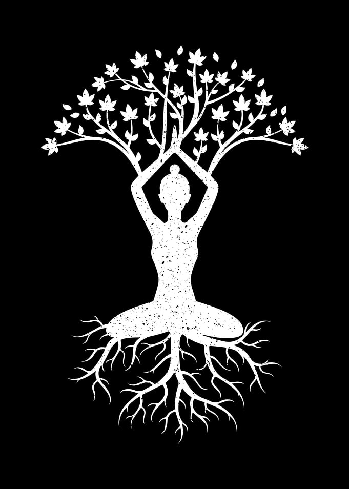 Yoga Tree