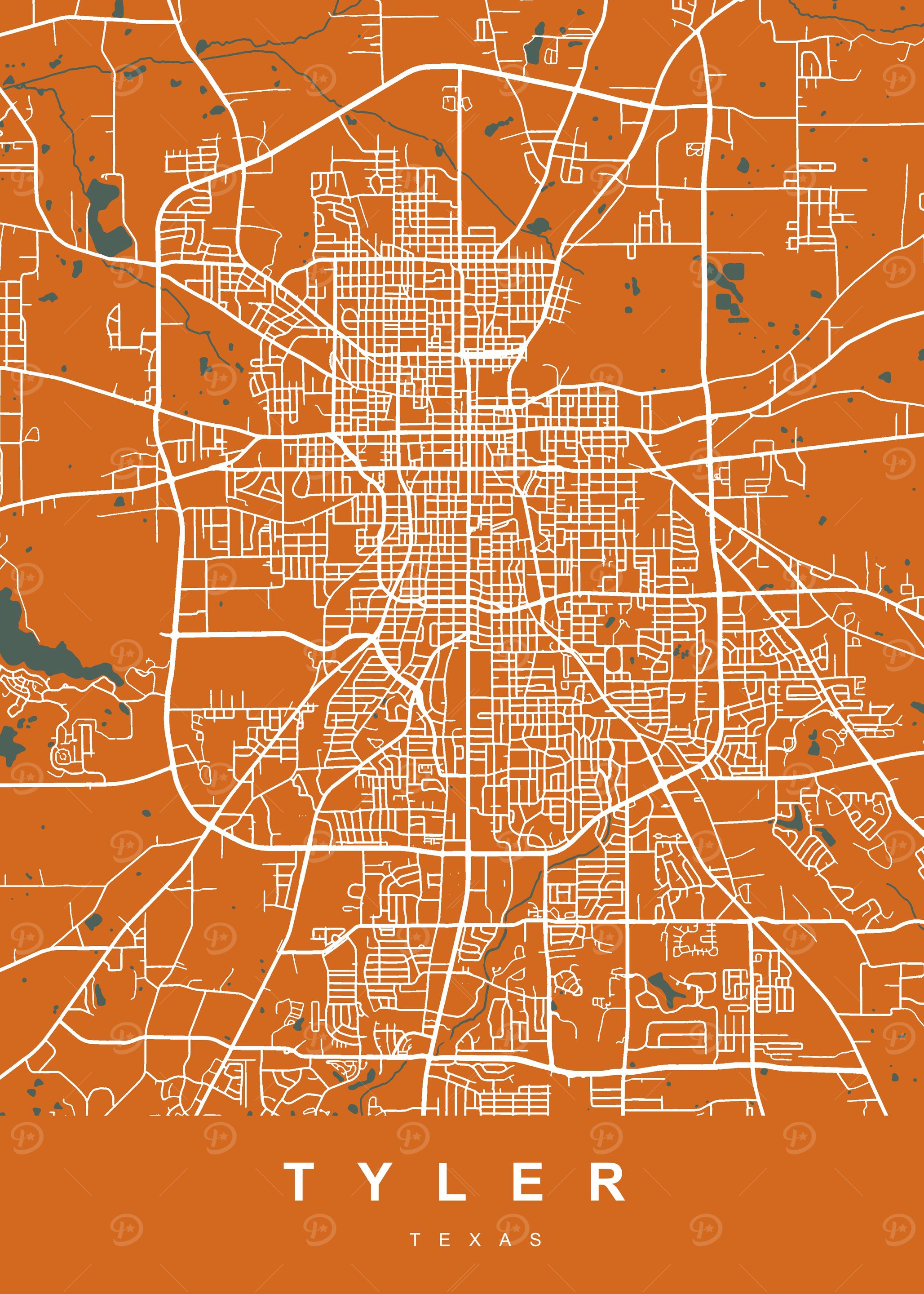 TYLER Art Map Texas