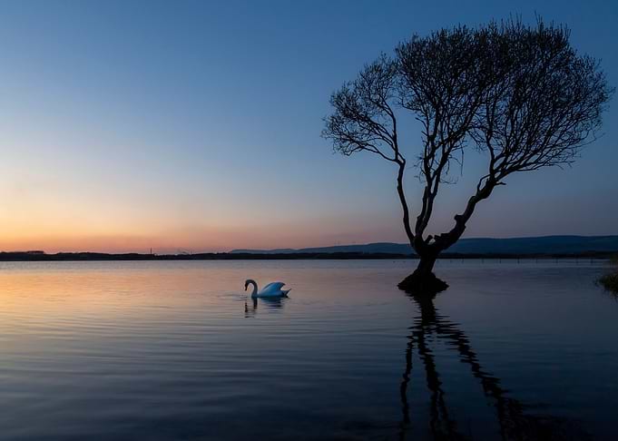 Kenfig Nature reserve and