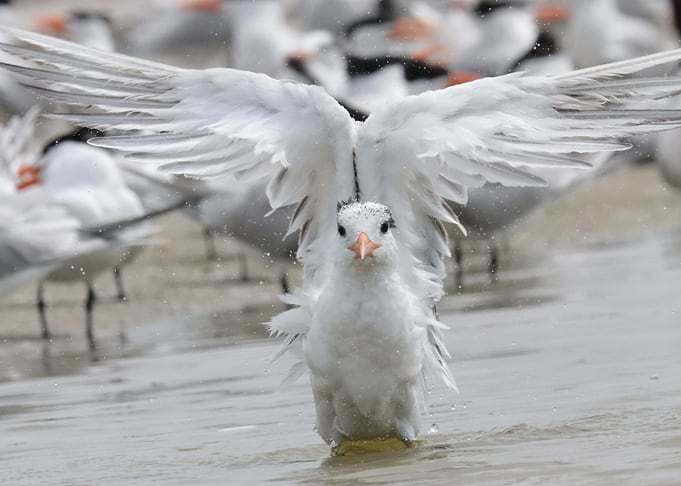 Take Off
