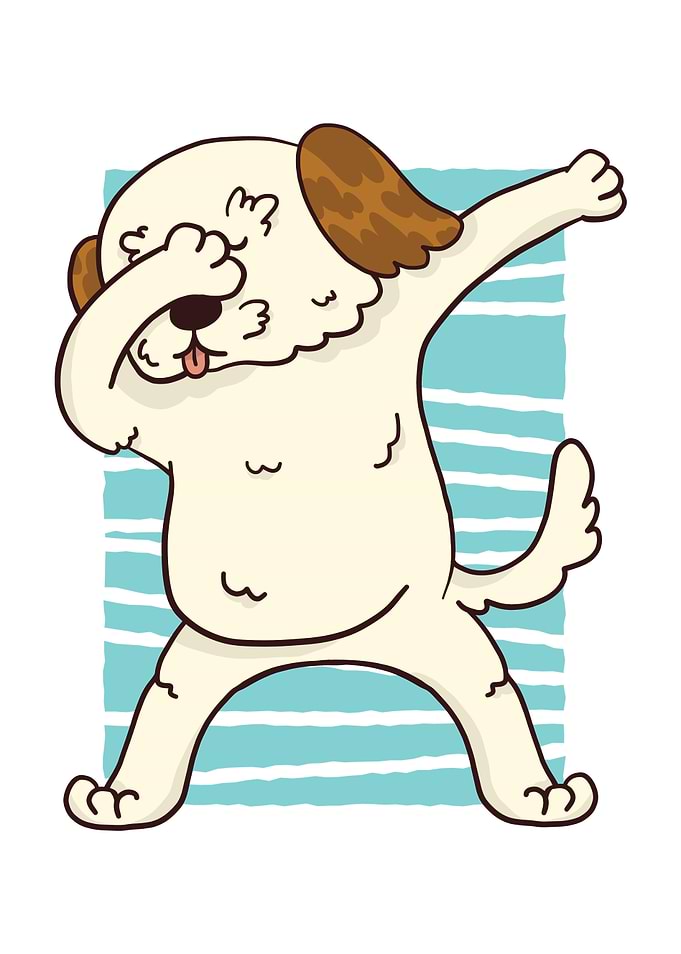 Dabbing Morkie