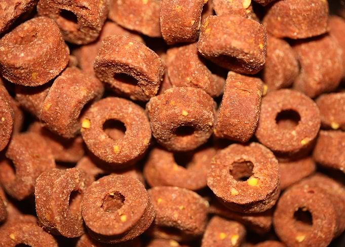 Croquettes pets dry food