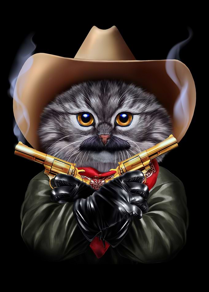 Cowboy Grey Cat