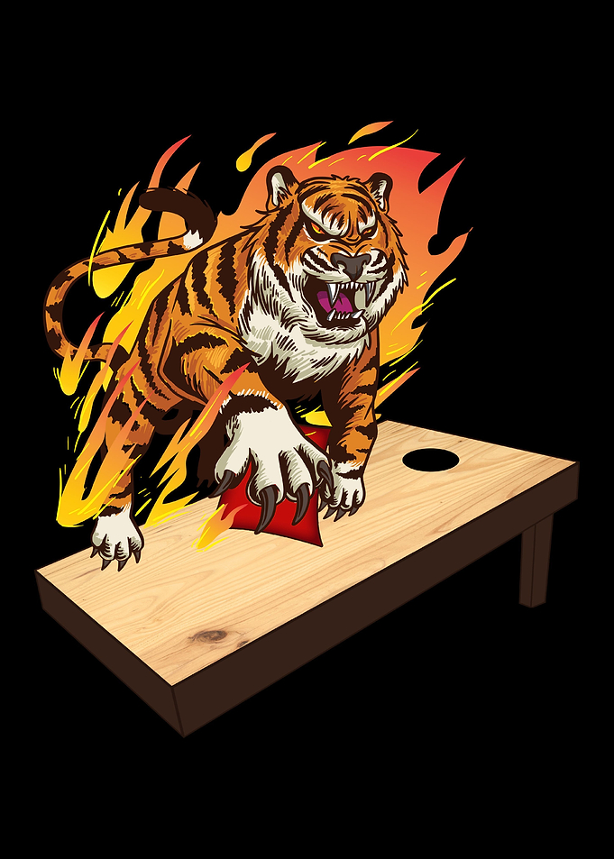 Cornhole Funny Player Gift
