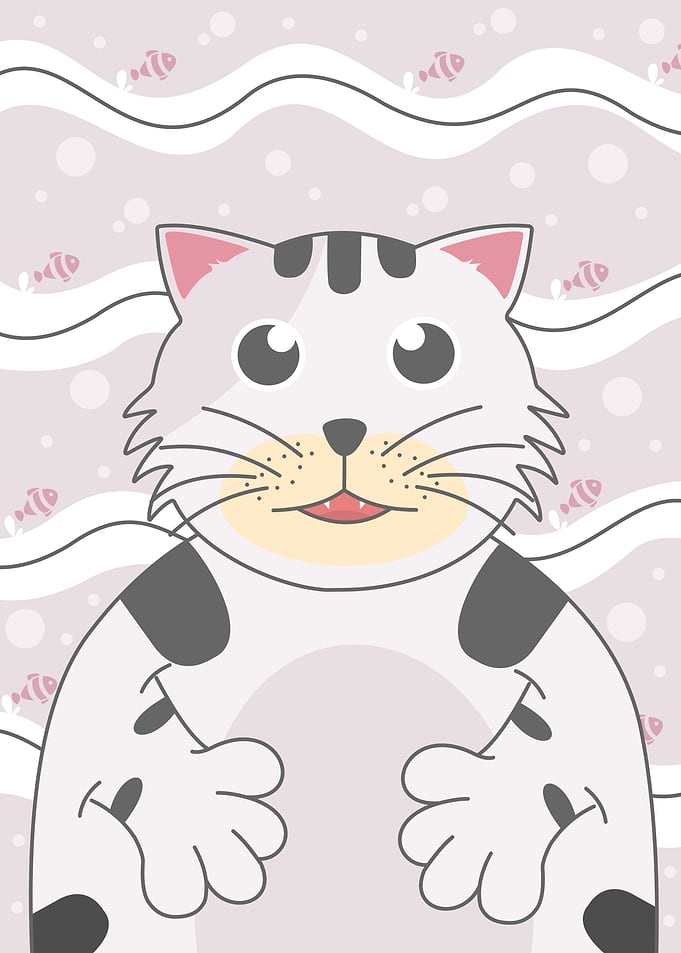 funny cat