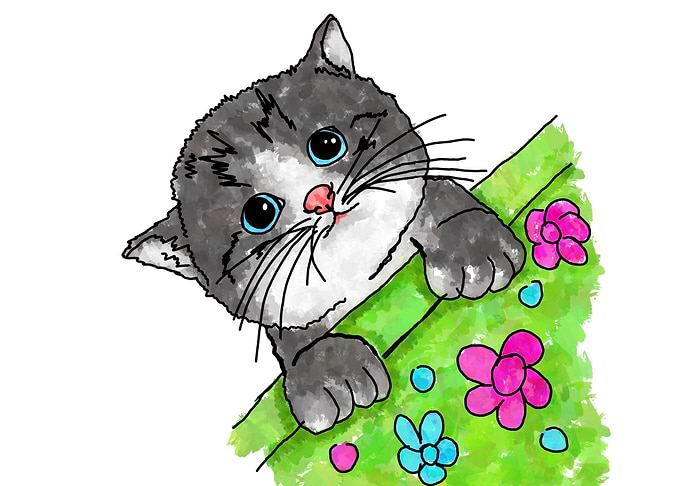 Cute Little Cat