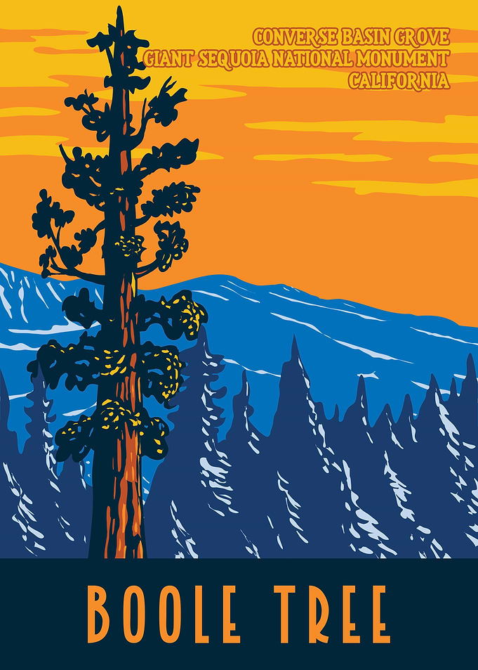 Boole Tree WPA