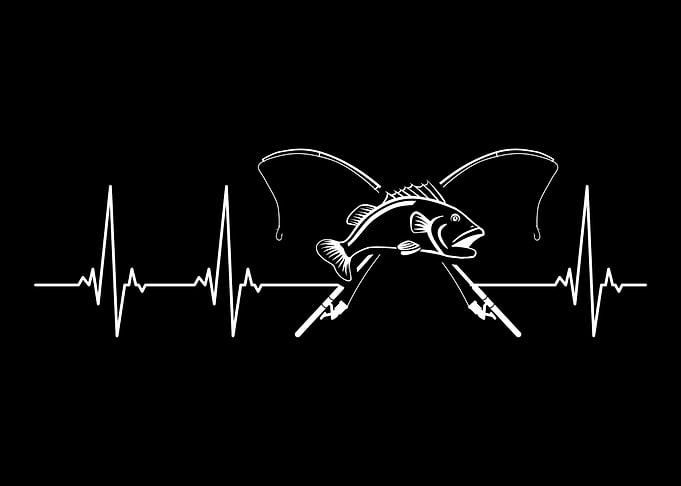 Fishing rod pulse