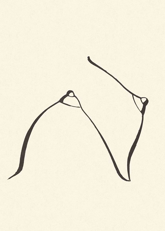 Letter N