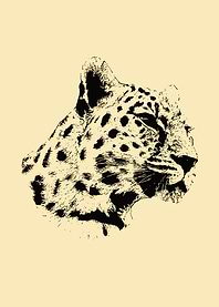 Leopard portrait