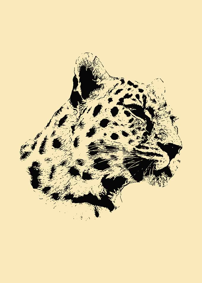 Leopard portrait