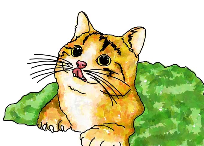 Cute Little Cat