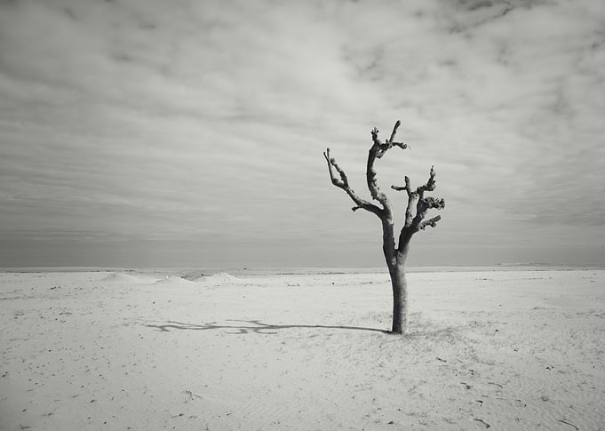Winter Beach