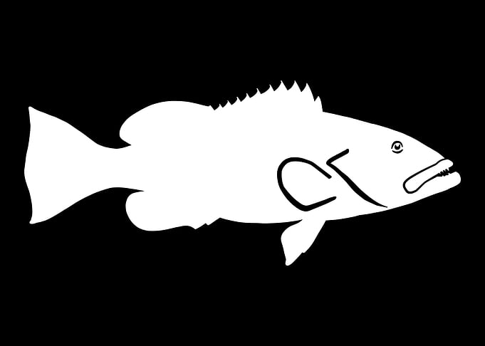 Grouper