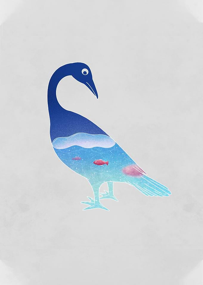 Bird and Fish