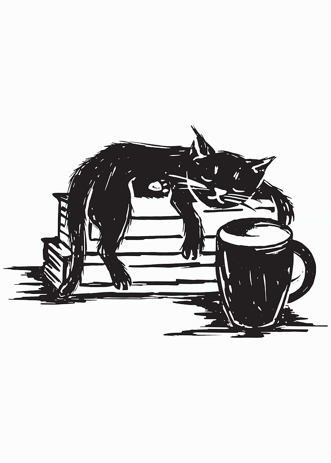 Black cat Coffee sleep
