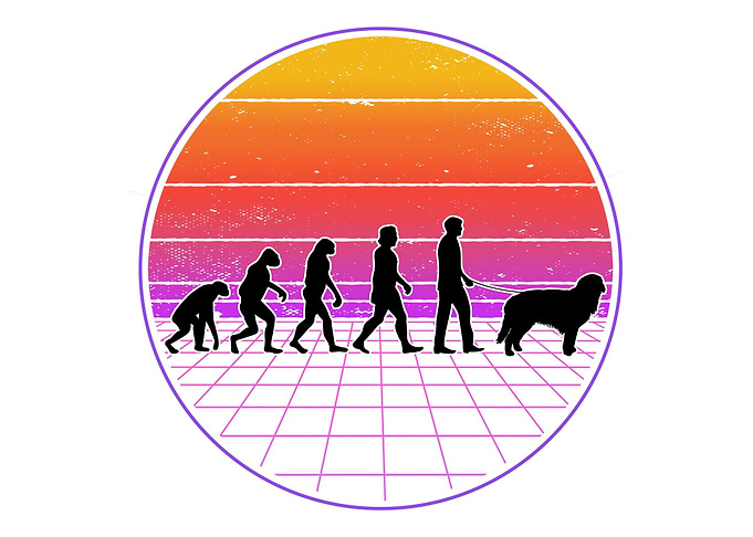 Hovawart Evolution Vaporwa