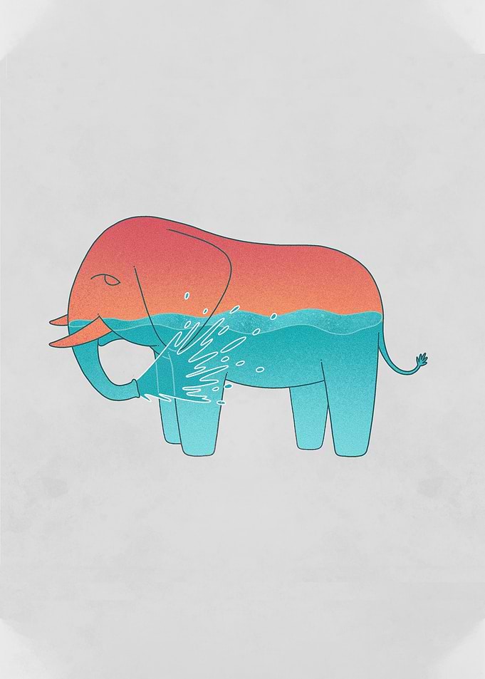 Elephant Spraying Water