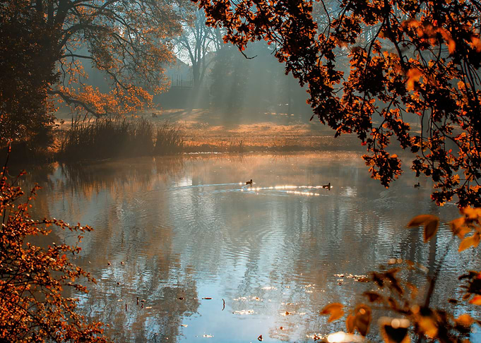 Autumn foggy lake in park