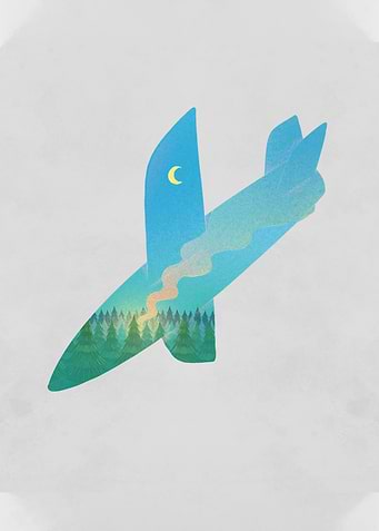 Airplane Crash