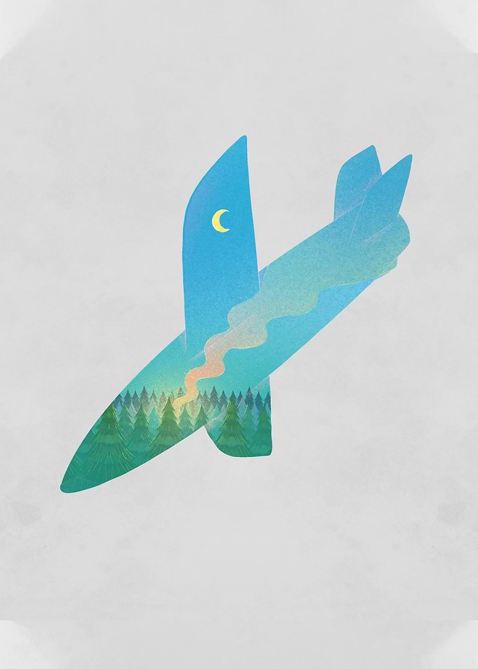 Airplane Crash