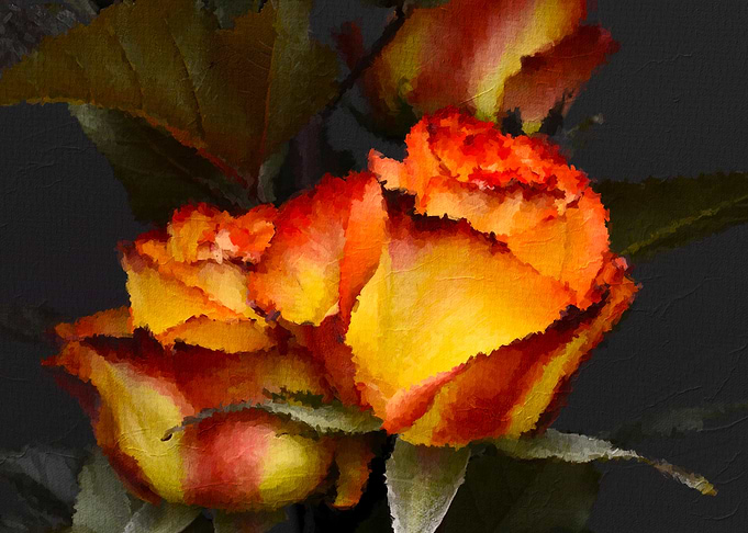 Roses